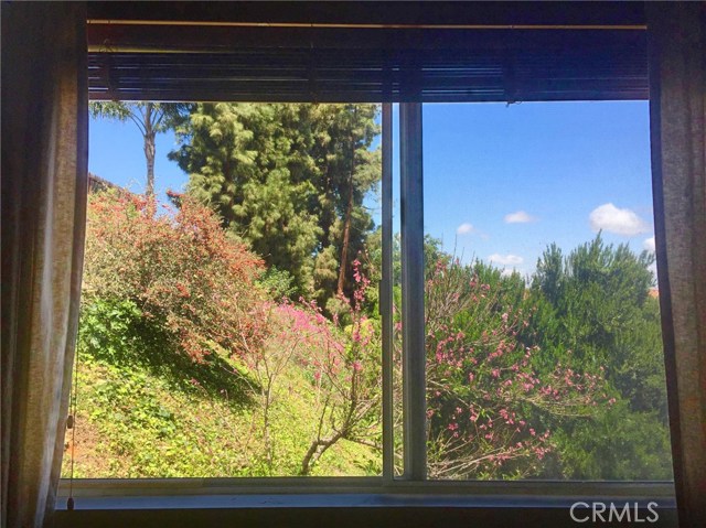 view from master bedroom window unto peach tree etc. view from master bedroom window unto peach tree etc.