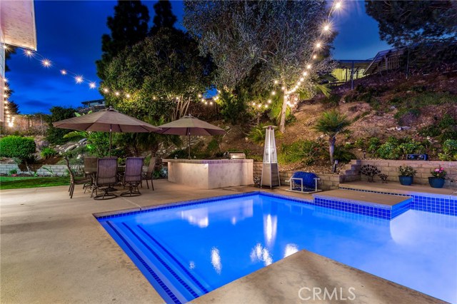 Backyard at twilight