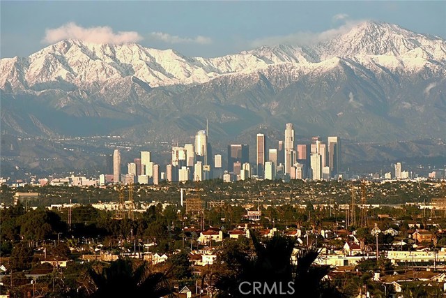 Close up of the DTLA skyline that can be viewed from Unit 407.