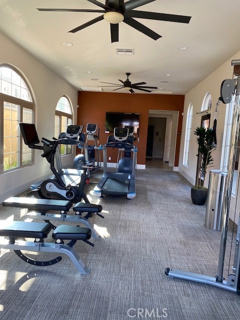 The gym