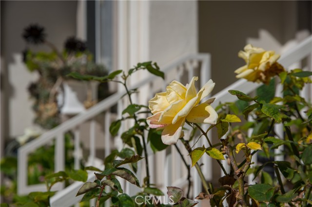 1705 Marshallfield Lane, Redondo Beach, California 90278, 4 Bedrooms Bedrooms, ,2 BathroomsBathrooms,Residential,Sold,Marshallfield,SB21036062