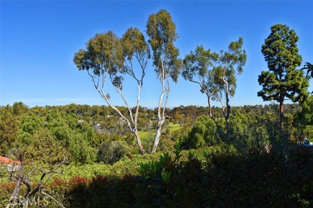 More view from the rear of the house of parkland