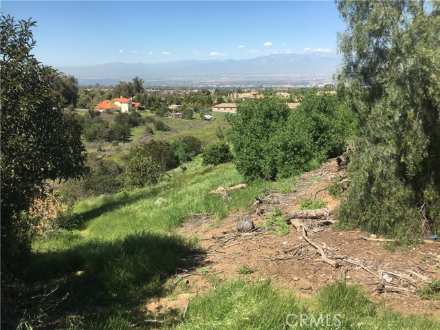 4210 Jameson Drive