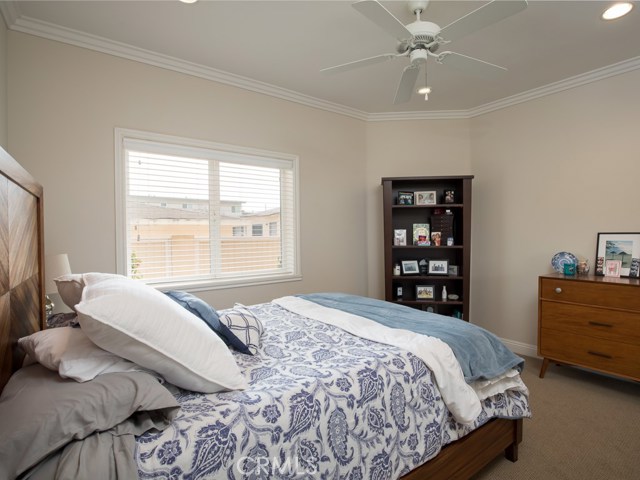 First floor bedroom, with warmth of crown molding, mirrors closets and ceiling fans and newer carpet