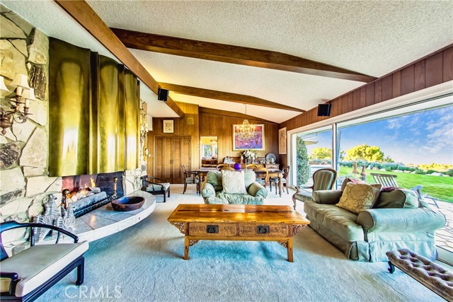 Living room fireplace invokes dramatic mid century modern character.