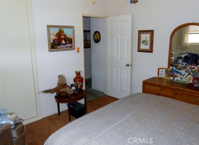 Looking into Access to Central Hallway and Large Closet.