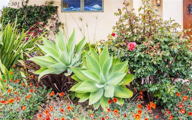 301 Homer Street, Manhattan Beach, California 90266, 3 Bedrooms Bedrooms, ,3 BathroomsBathrooms,Residential,Sold,Homer,SB19074682