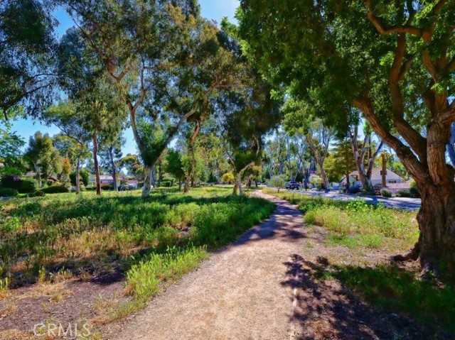 Walking Trail on PV Drive N