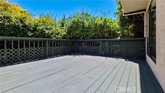 Deck-Patio Area