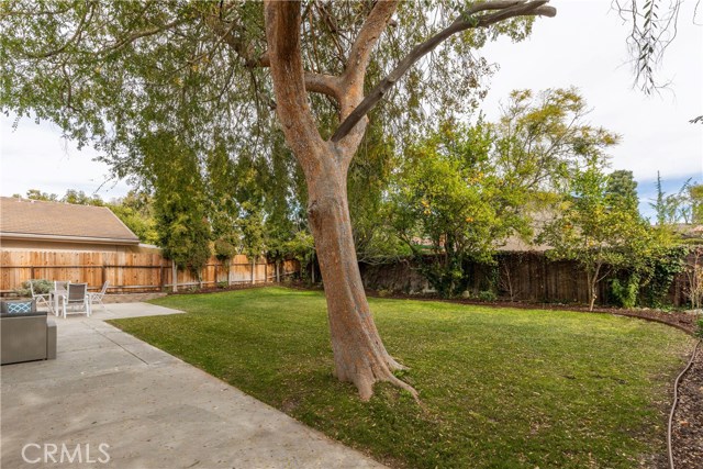 Expansive Rear Yard with Multiple Fruit Trees