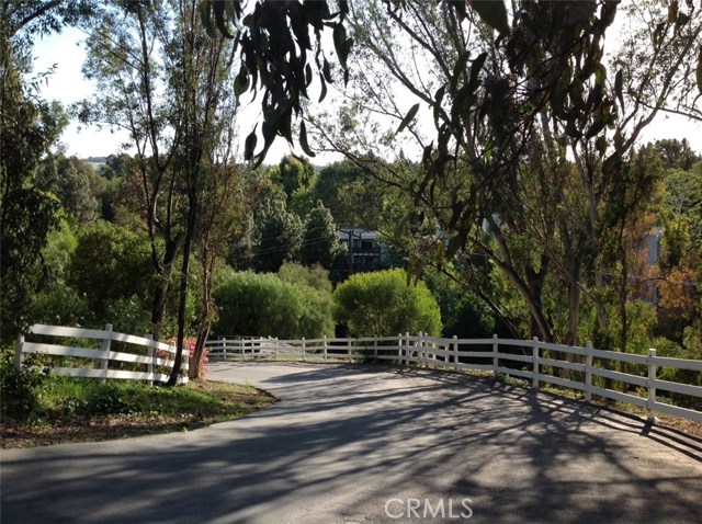 Private Road Leads to the Home