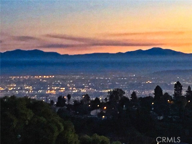 City Lights Views