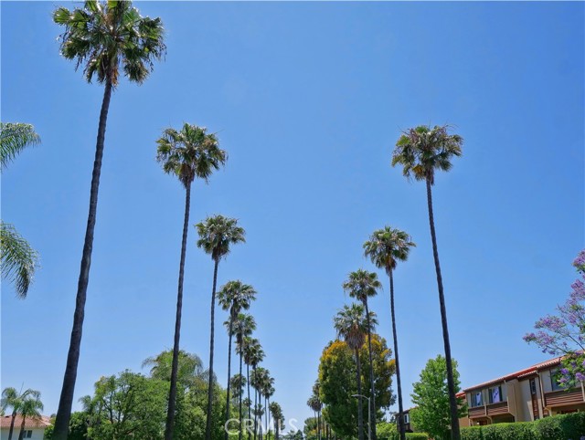 5947 Armaga Spring Road, Rancho Palos Verdes, California 90275, 2 Bedrooms Bedrooms, ,1 BathroomBathrooms,Residential,Sold,Armaga Spring,PV21160407