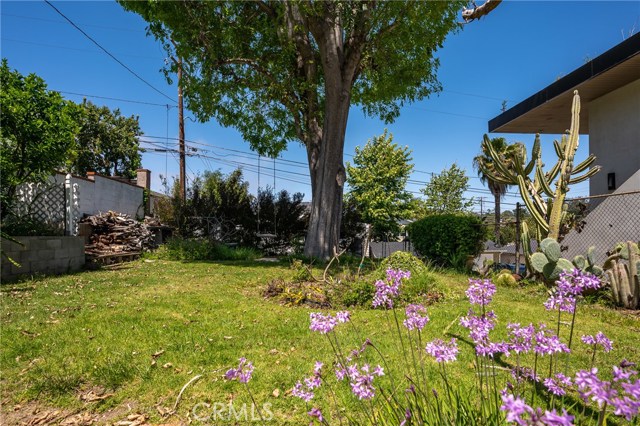 One of the biggest backyards on the Avenues, rear alley access, easily add an ADU