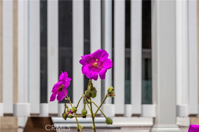 3000 Poinsettia Avenue, Manhattan Beach, California 90266, 4 Bedrooms Bedrooms, ,2 BathroomsBathrooms,Residential,Sold,Poinsettia,SB19105944