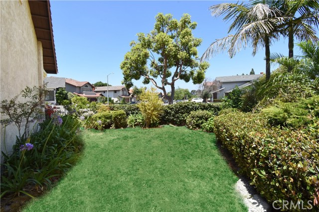 Sideyard Sideyard