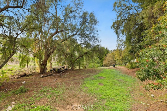 Beyond the horsetrack, you'll find this flat private area just at the tip of the canyon....worth the long walk down, it's glorious!