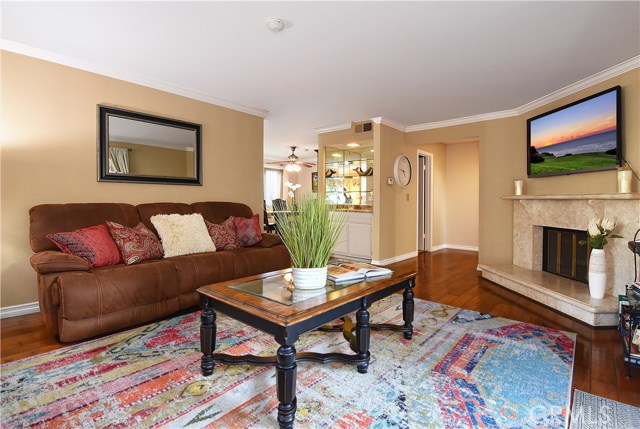 Custom Paint & Crown Molding