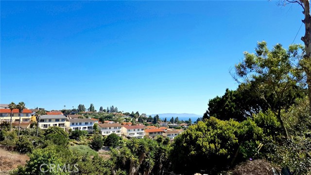 Canyon and Catalina Views from Backyard