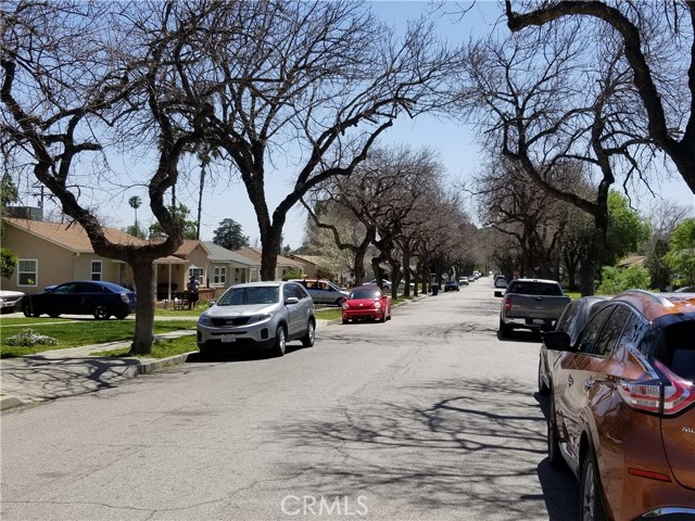 Beautiful, shaded, tree lined street!