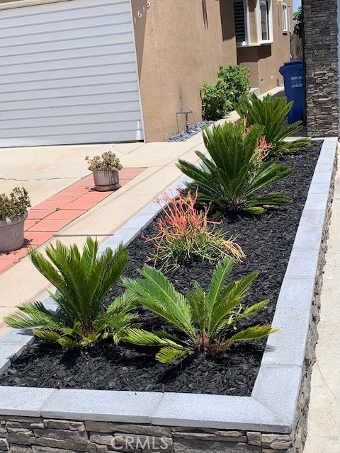 Driveway planter with drought tolerant plants.