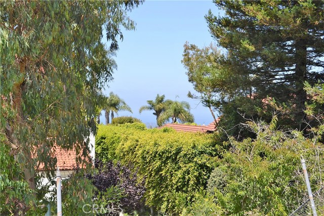 28911 Golden Meadow Drive, Rancho Palos Verdes, California 90275, 4 Bedrooms Bedrooms, ,2 BathroomsBathrooms,Residential,Sold,Golden Meadow,PV17169354