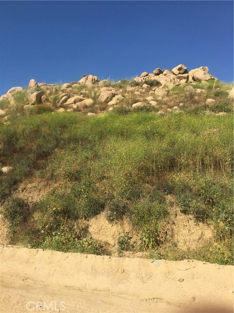 El Toro
