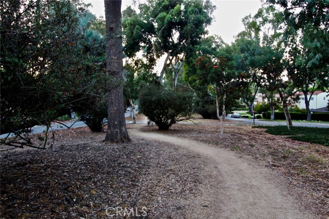 Trail between Drive looking West