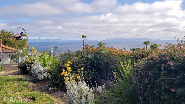 Beautiful flowers in your own backyard with Catalina as your backdrop