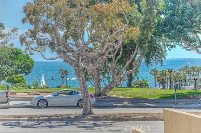 301 Diamond Street, Redondo Beach, California 90277, 3 Bedrooms Bedrooms, ,2 BathroomsBathrooms,Residential,Sold,Diamond,PV19005386