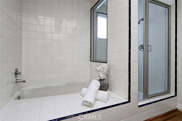 Master bath tub and shower