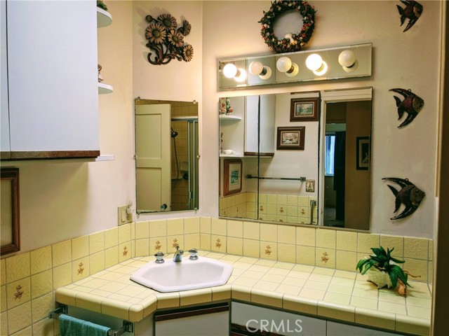 bathroom features a skylight, and extra deep shower.