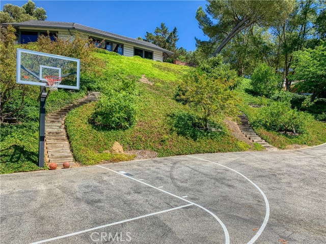 Adjacent to the sports court there's a citrus orchard.