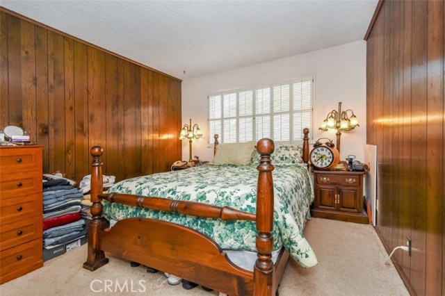 Main Level Guest/In-law Bedroom