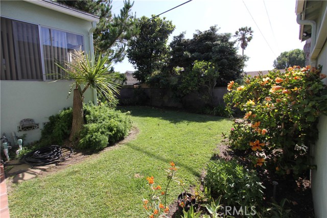 More backyard. West facing so it's always light and bright in the backyard.