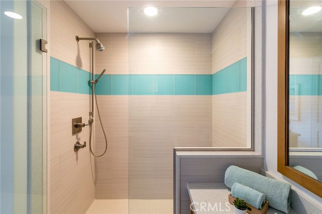 Master Bathroom Shower