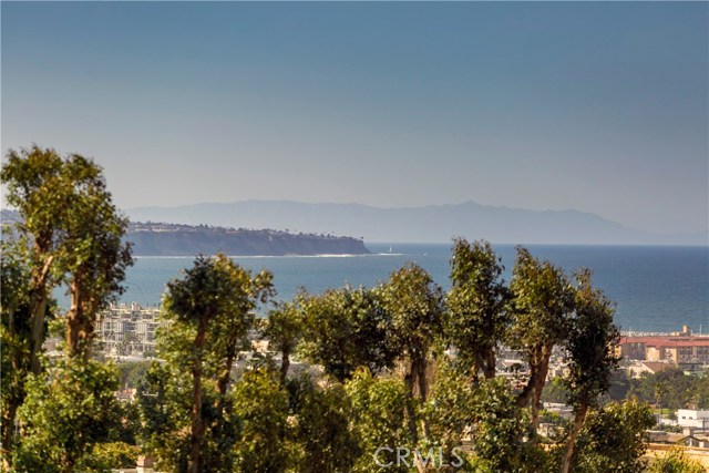 View of Palos Verdes Peninsula from rooftop deck