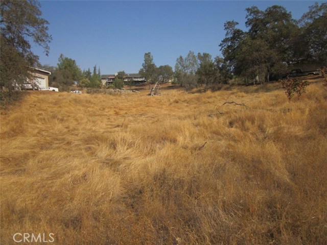 Detail Gallery Image 2 of 3 For 0 1.07ac Holiday Dr, Coarsegold,  CA 93614 - – Beds | – Baths