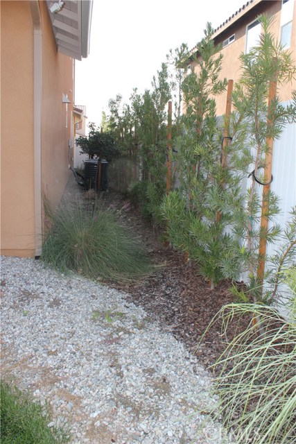 Side of the home with trees recently planted.