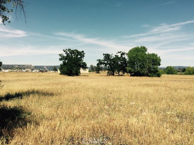 Feather River, 95965, ,For Sale,Feather River,SN19083133