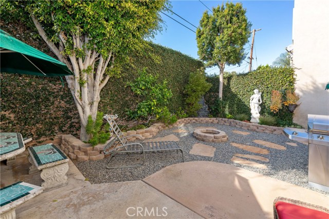 Yard Surrounded By Privacy Hedges