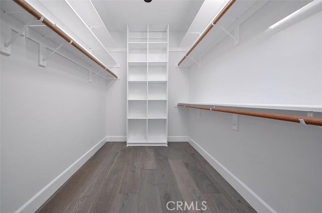 Walk-in Closet in Master Bedroom