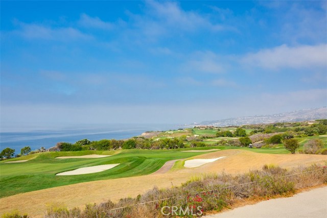 Coastline View