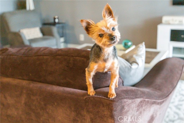 631 Prospect Avenue, Redondo Beach, California 90277, 2 Bedrooms Bedrooms, ,2 BathroomsBathrooms,Residential,Sold,Prospect,SB20199042