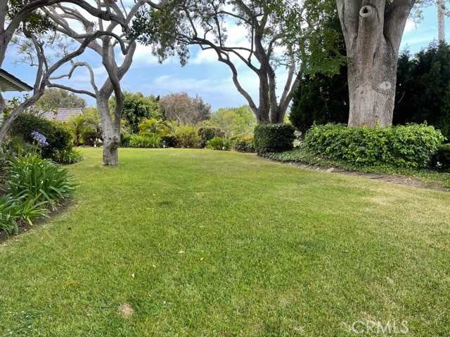 Yard on the north side of the property