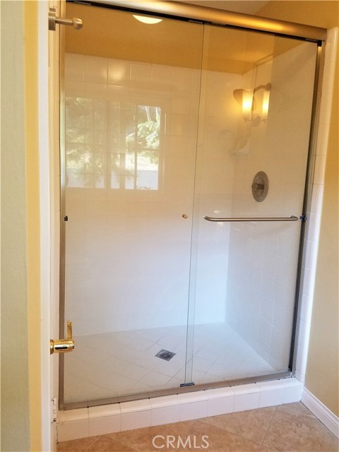 Master bath with large shower