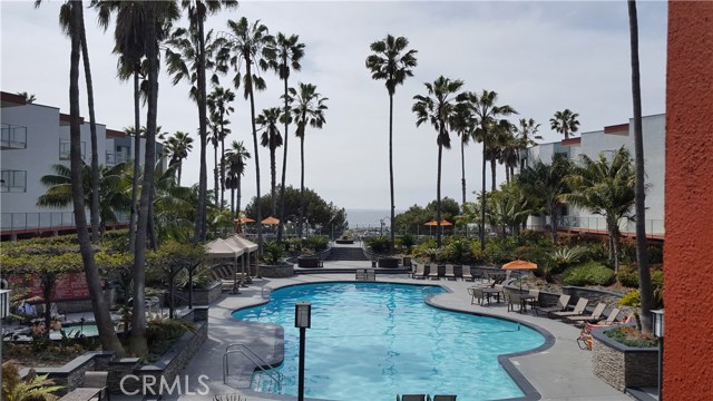 Larger Resort Style Pool at Ocean Club