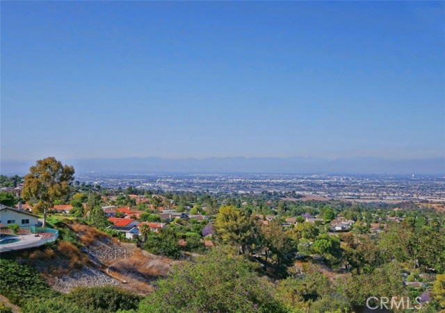 Panoramic City Lights View