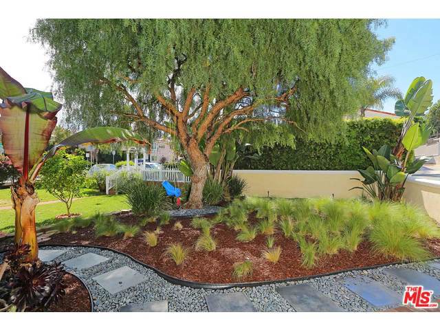 Rear Yard
