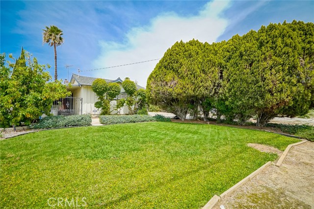 The front yard has plenty of space, notice how far back the home is set from the street. The gates you can see beyond the avocado tree open to allow vehicle access to the back yard. This space could be used to park trailers and/or toys.